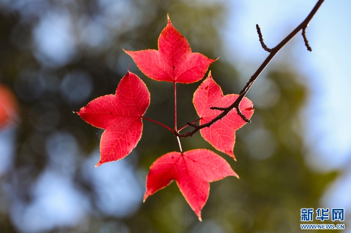 2025110573556e966df74b16b5667011ce9bf46d_202511051eaffe9e5b1a470ea761526dc2c6adc9