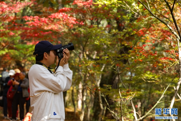 2025110573556e966df74b16b5667011ce9bf46d_20251105b141b96a7dc94b3c868c89f6358bccb5