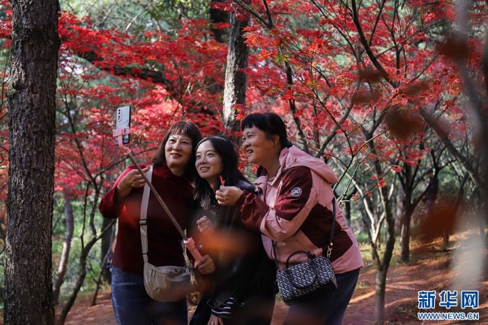 2025110573556e966df74b16b5667011ce9bf46d_2025110540bf9ef3d06f4f859884def21451400b