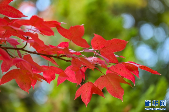 2025110573556e966df74b16b5667011ce9bf46d_2025110541933ee24c3648c9924f881f6518a6b9