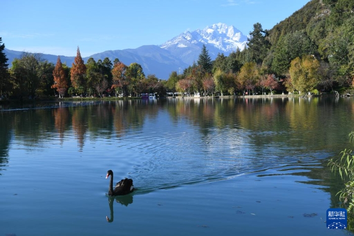 202511305e4b39a25f23476784f2f1e9cb929e43_20251130eb06adf9a6d24b49853335cc09abbc90