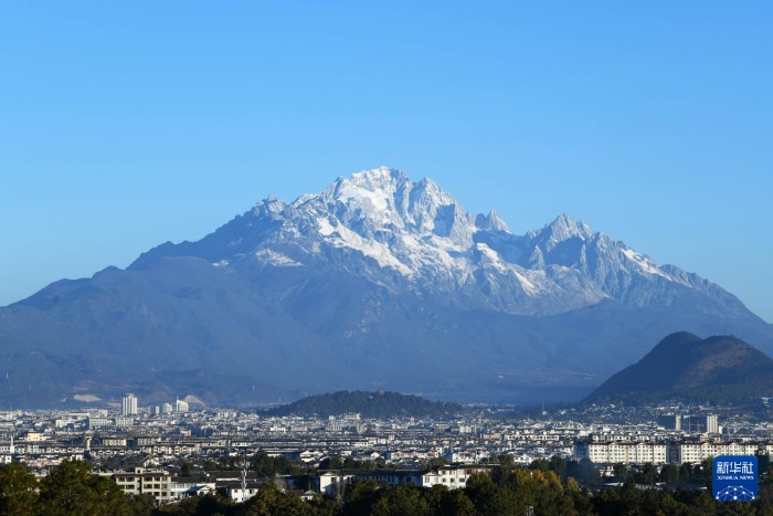 202511305e4b39a25f23476784f2f1e9cb929e43_202511306d8e9d51d68c433fad83c0dc49db8abe