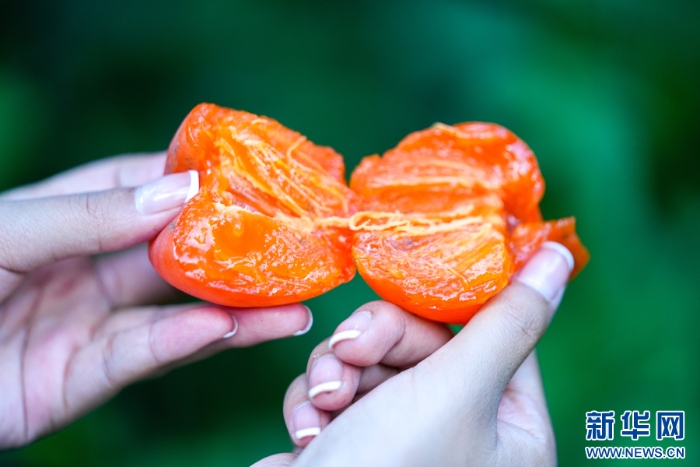 20251112d86aab2c04294301806307336dbc4889_20251112214f1e374cc249c584d957b43b86bb17