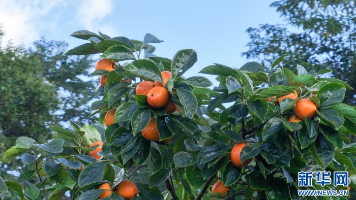 20251112d86aab2c04294301806307336dbc4889_2025111230e43772deff4b15b069da5d1aa86bfe