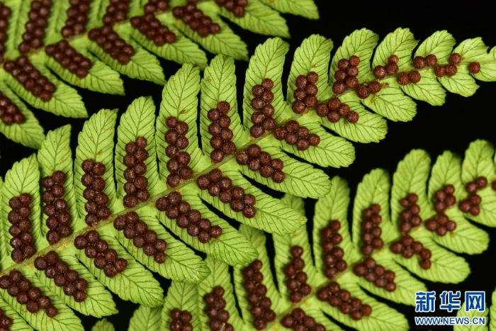 20251203667362b9b8584b2c81fb4581b43cbd0c_20251203b31aa977b4064e1d833365b2a94697aa