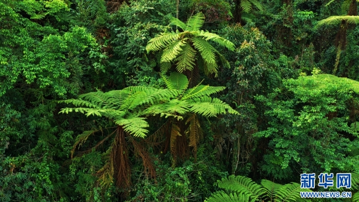 20251203667362b9b8584b2c81fb4581b43cbd0c_202512039adc6a9a415a4d9ebfe31ea53b8dd19c