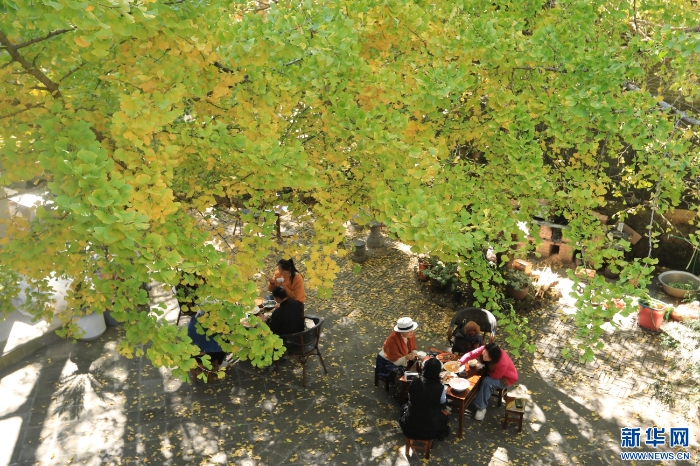 2025120208a0117e0c734f05a3a3623a55691fd8_202512024d2d8f94f9754572a7030917a3540497