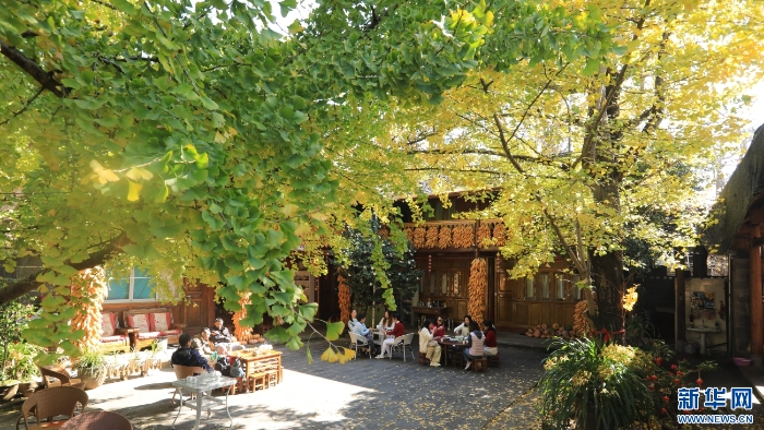 2025120208a0117e0c734f05a3a3623a55691fd8_202512027f235e3e38d14e6eb4efbc1fd17f5236