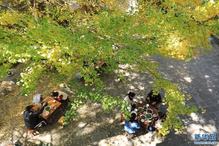 2025120208a0117e0c734f05a3a3623a55691fd8_20251202f1b38748c8eb4f5d98c9246e6000e741