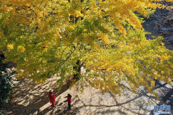 2025120208a0117e0c734f05a3a3623a55691fd8_202512028582a3841d9c4667b273aa5a5fa1ec96