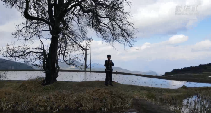 105012025111800009581