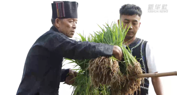 105012025111800009598