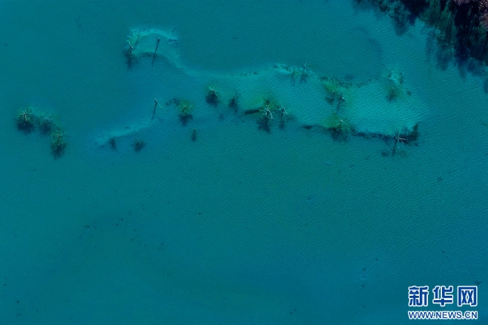 2025121610a2b8c6d83f4a5593291b76a31f932e_2025121642074f302ba54c5d8d84f48a2667e933