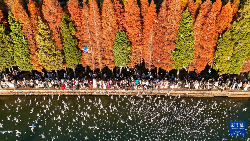 20251211d3e2e00ff398459cb8228f7f693e7791_20251211b9c177a1c3034b09827c74c295c2b616 20251211d3e2e00ff398459cb8228f7f693e7791_20251211b9c177a1c3034b09827c74c295c2b616