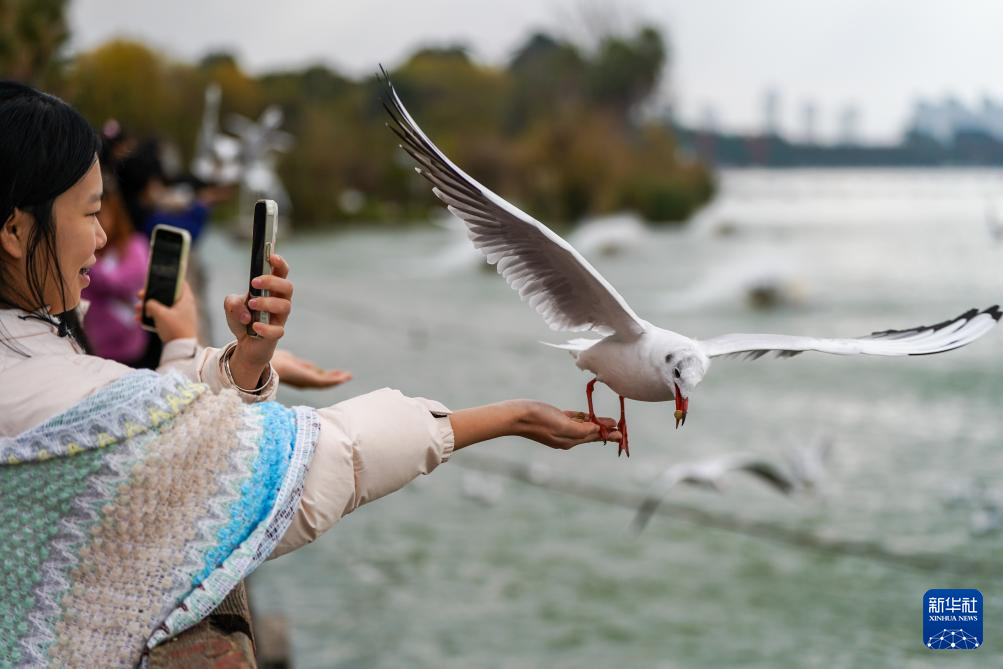 20251211d3e2e00ff398459cb8228f7f693e7791_202512114a0d3f99385c42cb89c7024f0389762f 20251211d3e2e00ff398459cb8228f7f693e7791_202512114a0d3f99385c42cb89c7024f0389762f