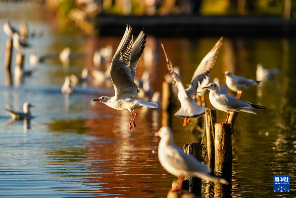 20251211d3e2e00ff398459cb8228f7f693e7791_202512116e8a29f1e5a34292a9d7f9780427c31c 20251211d3e2e00ff398459cb8228f7f693e7791_202512116e8a29f1e5a34292a9d7f9780427c31c