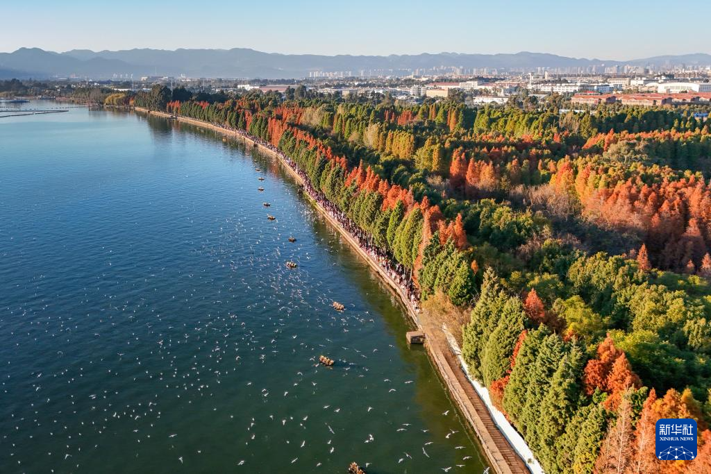 20251211d3e2e00ff398459cb8228f7f693e7791_2025121159dba525407c43c392cab6c8fc773019 20251211d3e2e00ff398459cb8228f7f693e7791_2025121159dba525407c43c392cab6c8fc773019