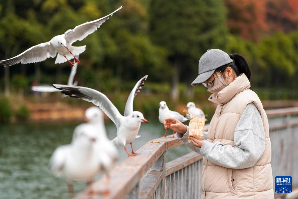 20251211d3e2e00ff398459cb8228f7f693e7791_2025121179fe24eff47143abb2d596b2e56150a9 20251211d3e2e00ff398459cb8228f7f693e7791_2025121179fe24eff47143abb2d596b2e56150a9