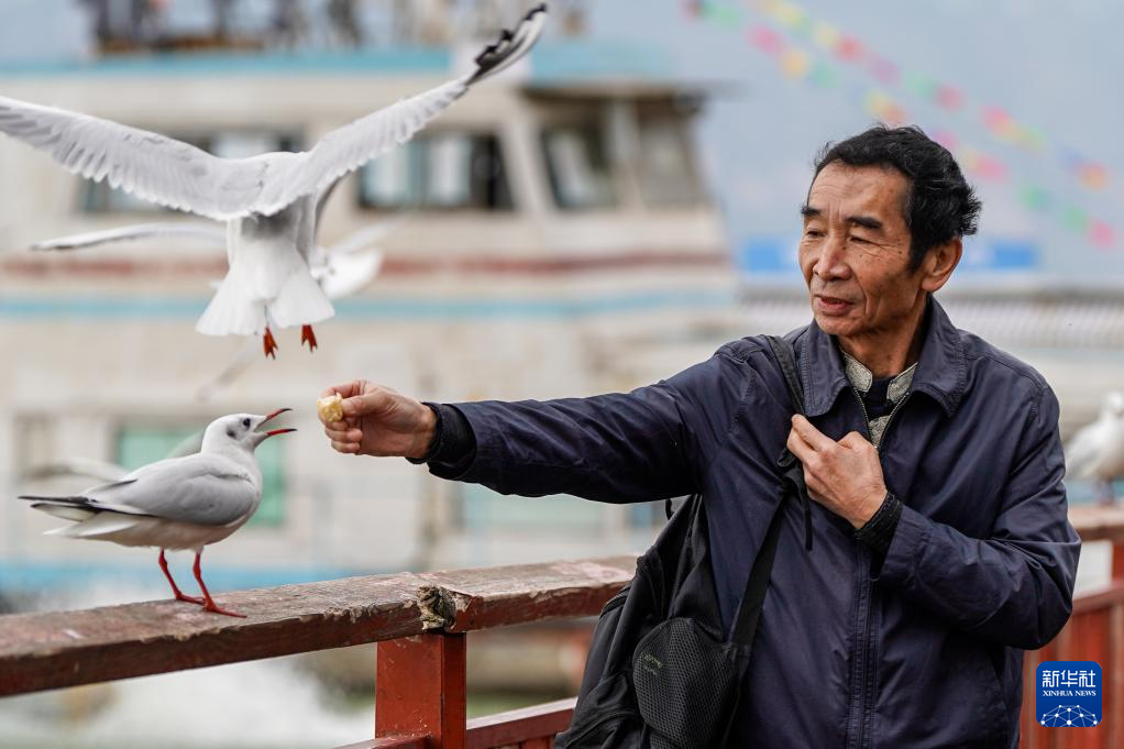 20251211d3e2e00ff398459cb8228f7f693e7791_202512117eea9c9d318845978662f79b1fa7c358 20251211d3e2e00ff398459cb8228f7f693e7791_202512117eea9c9d318845978662f79b1fa7c358