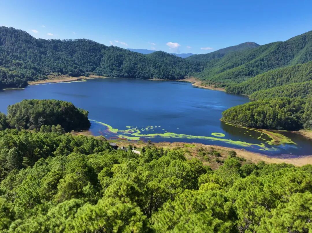 2015697_2048x2048 2015697_2048x2048