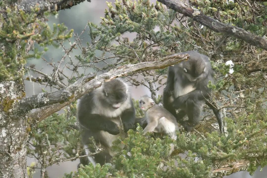 2015698_2048x2048 2015698_2048x2048