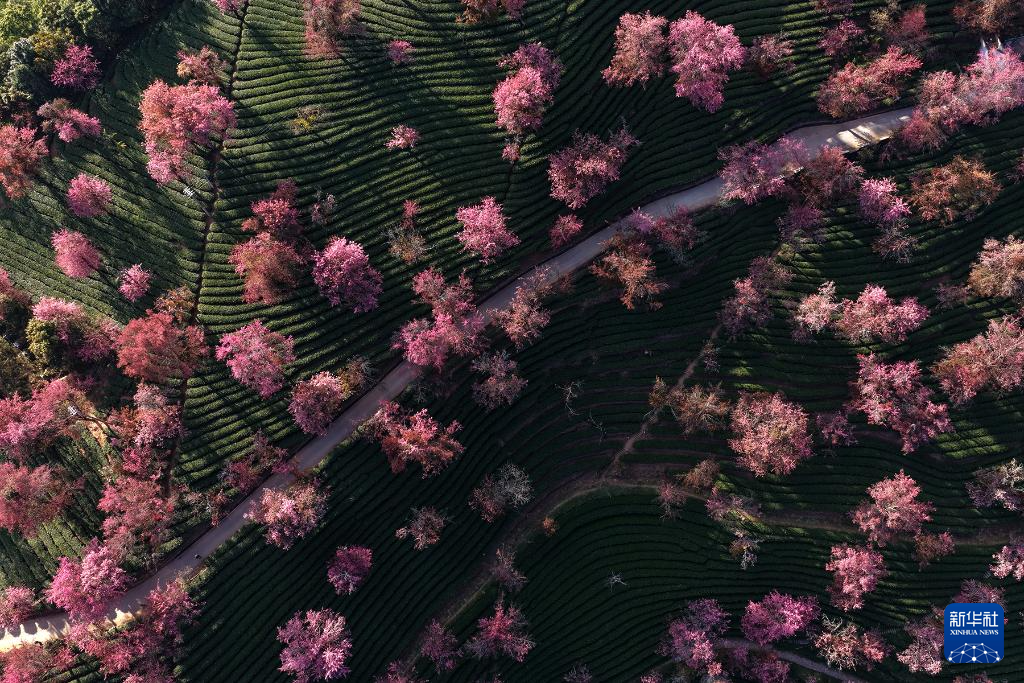 202512252b03f7526ea84bb4936d92f60cf42565_20251225d06a49b75d9549758abd35ab5106ca10 202512252b03f7526ea84bb4936d92f60cf42565_20251225d06a49b75d9549758abd35ab5106ca10