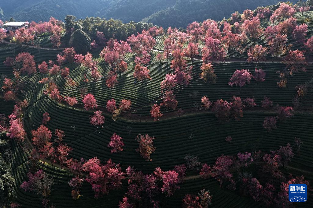 202512252b03f7526ea84bb4936d92f60cf42565_2025122575b42c232cc24c2da9830f6c0dc04312 202512252b03f7526ea84bb4936d92f60cf42565_2025122575b42c232cc24c2da9830f6c0dc04312