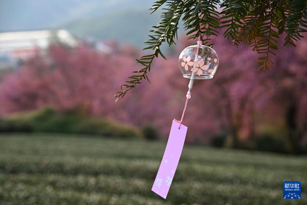 202512252b03f7526ea84bb4936d92f60cf42565_20251225420e45875cb14a44921ee8645e4a17bc 202512252b03f7526ea84bb4936d92f60cf42565_20251225420e45875cb14a44921ee8645e4a17bc