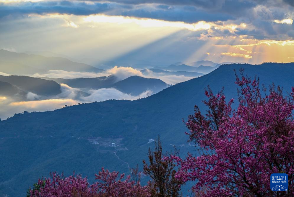 202512252b03f7526ea84bb4936d92f60cf42565_20251225c151a1e4cc4744ff84e25fb87c028948 202512252b03f7526ea84bb4936d92f60cf42565_20251225c151a1e4cc4744ff84e25fb87c028948