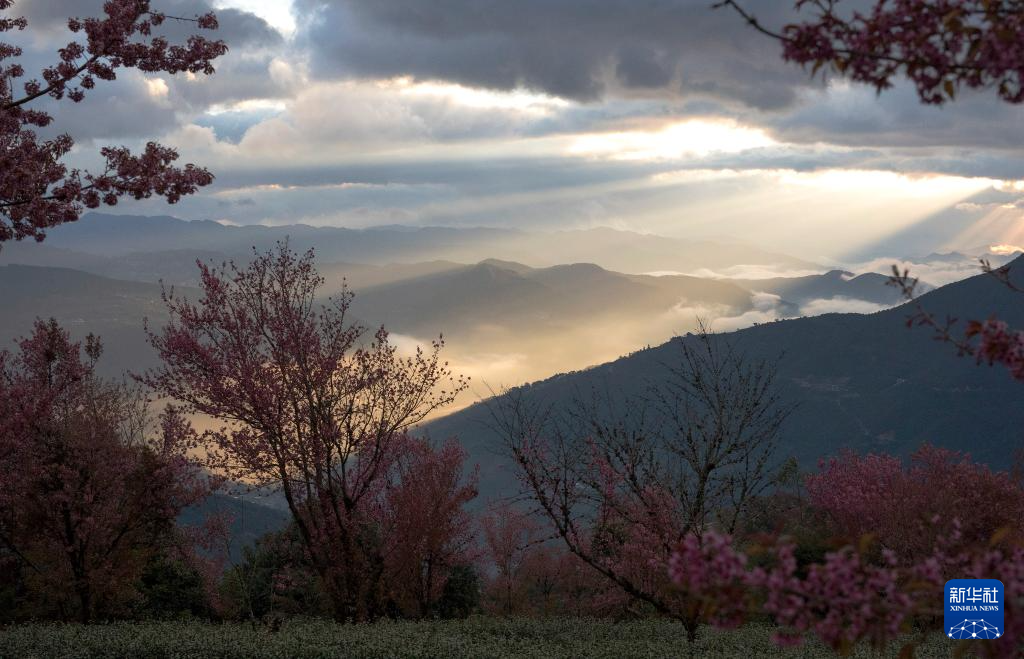 202512252b03f7526ea84bb4936d92f60cf42565_20251225fd88e4cdd6f447b3af85ee2bfa9b56c7 202512252b03f7526ea84bb4936d92f60cf42565_20251225fd88e4cdd6f447b3af85ee2bfa9b56c7