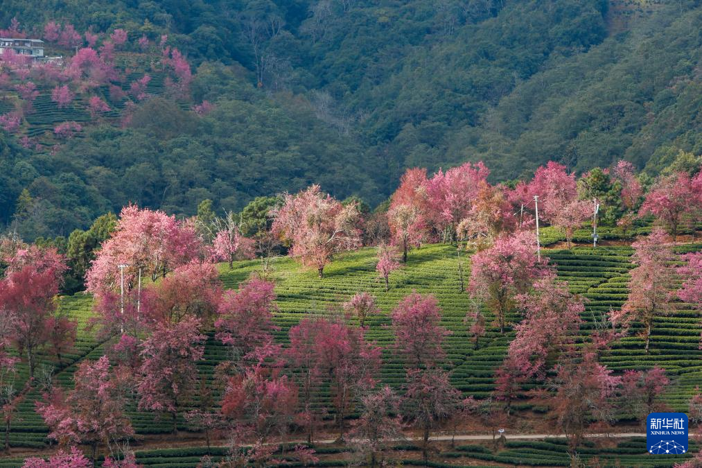 202512252b03f7526ea84bb4936d92f60cf42565_202512259197e408b01f4c0fac816679b593bcef 202512252b03f7526ea84bb4936d92f60cf42565_202512259197e408b01f4c0fac816679b593bcef