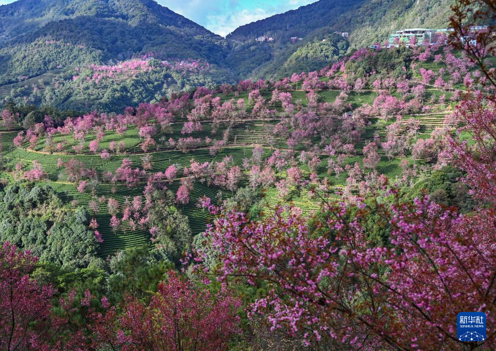 202512252b03f7526ea84bb4936d92f60cf42565_2025122569125dc6572a472190c1cf70ededeef4 202512252b03f7526ea84bb4936d92f60cf42565_2025122569125dc6572a472190c1cf70ededeef4