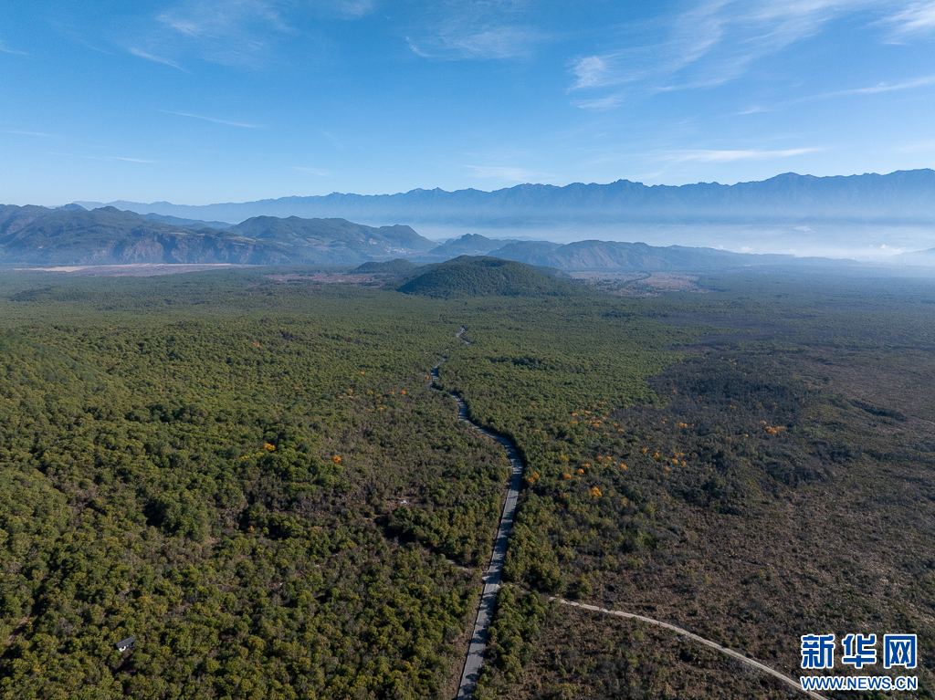 20251212a48004c74e854a3c81afa030ad73711e_202512126623abb8eb24416c94887ffdf903a6fc 20251212a48004c74e854a3c81afa030ad73711e_202512126623abb8eb24416c94887ffdf903a6fc