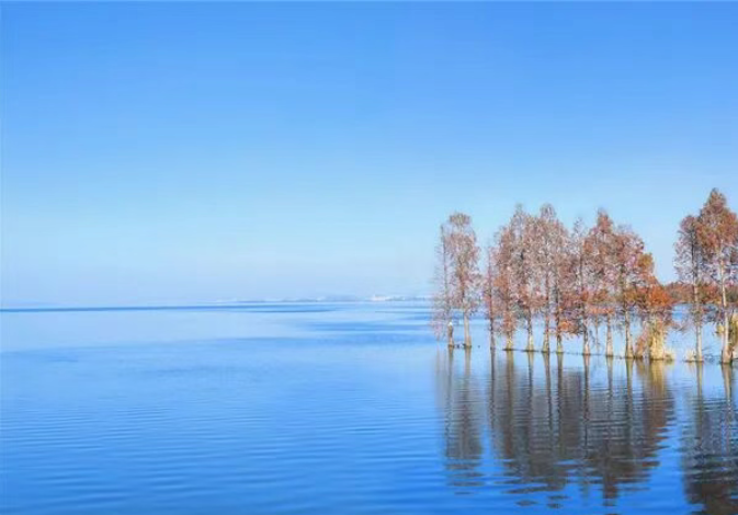 ScreenShot_2026-01-29_143740_745 ScreenShot_2026-01-29_143740_745