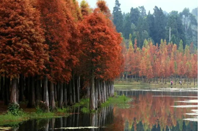 ScreenShot_2026-01-29_143958_207 ScreenShot_2026-01-29_143958_207