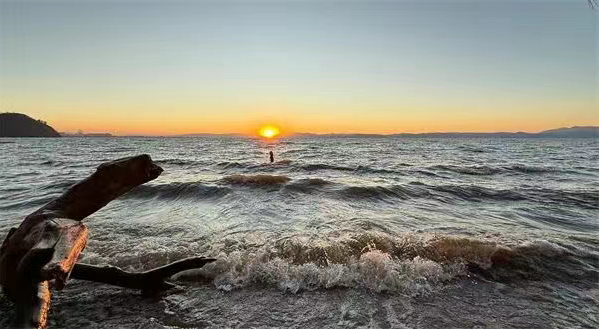 ScreenShot_2026-01-29_144051_044 ScreenShot_2026-01-29_144051_044