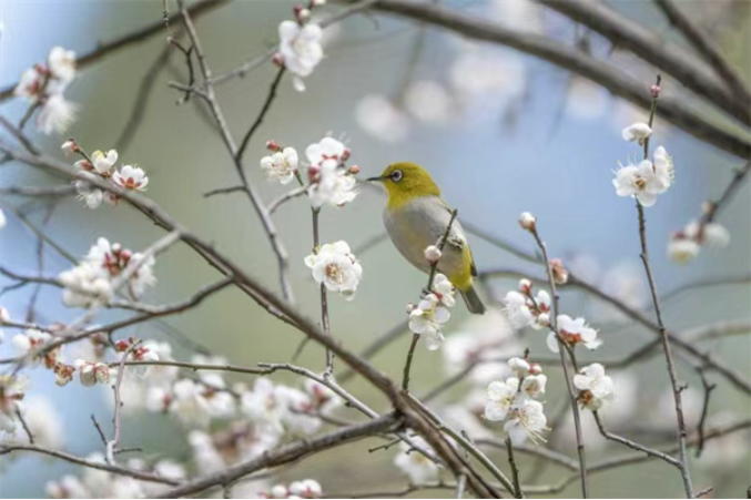 ScreenShot_2026-01-29_144239_770 ScreenShot_2026-01-29_144239_770