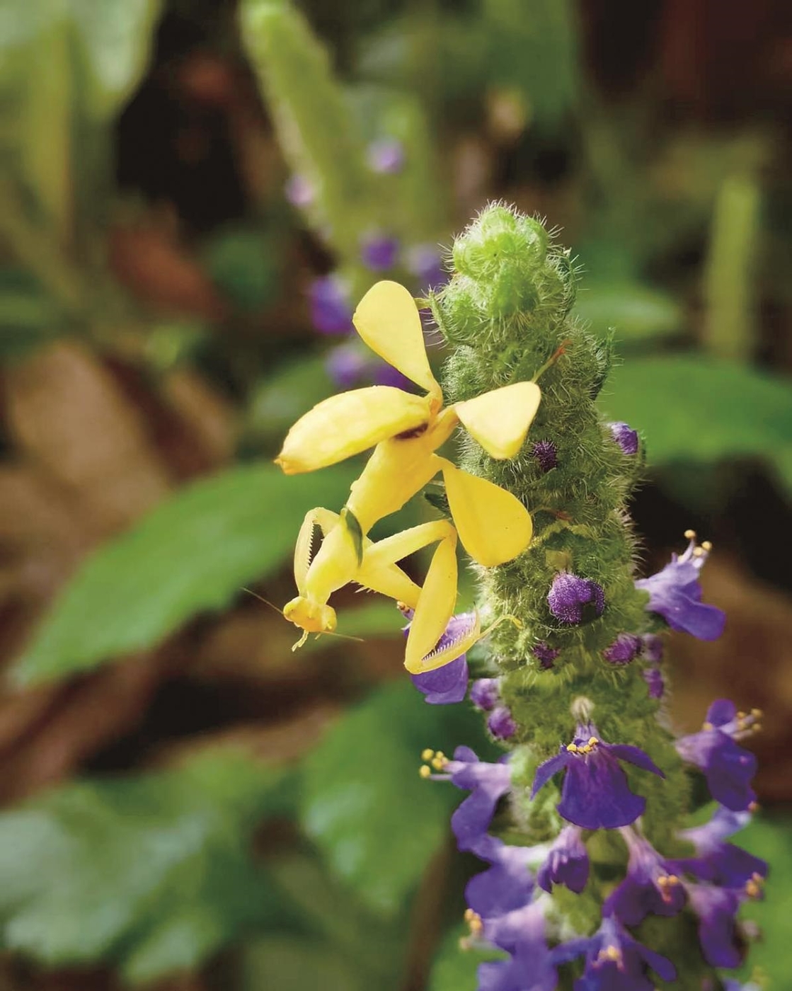 00307761796_2bca7a49