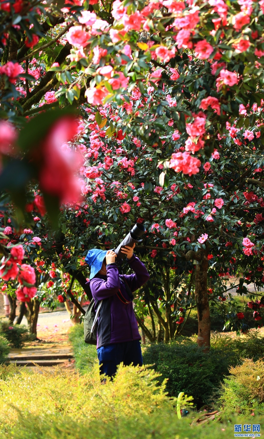 20260304024ae079af0e4cb6870957d4aaba7601_202603043d6f135ca4ee4d6da02b9ea2befcd2fb