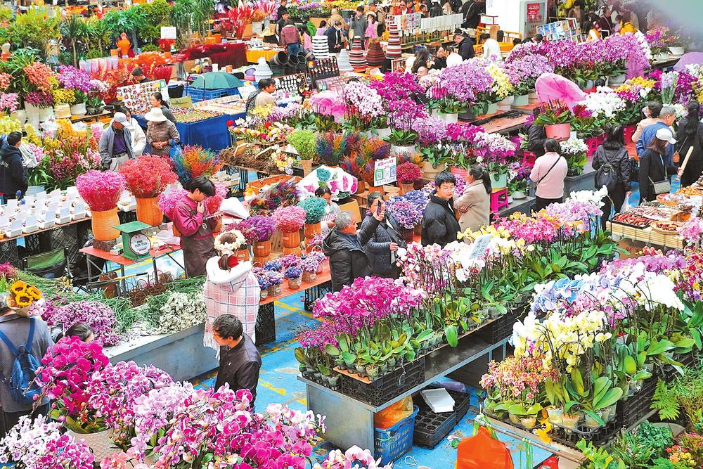 2081048_2048x2048 2081048_2048x2048